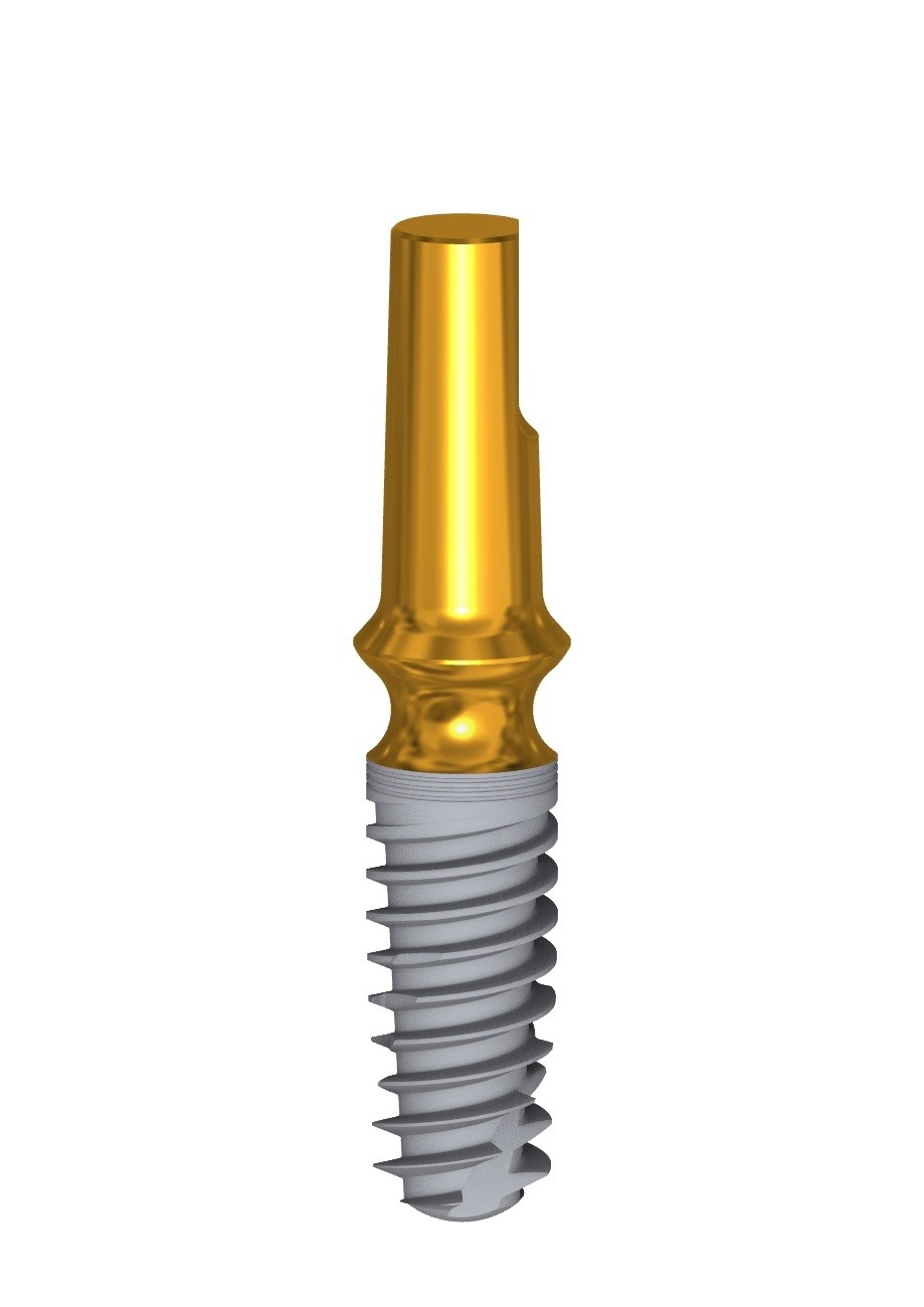 Implant QM 4.1