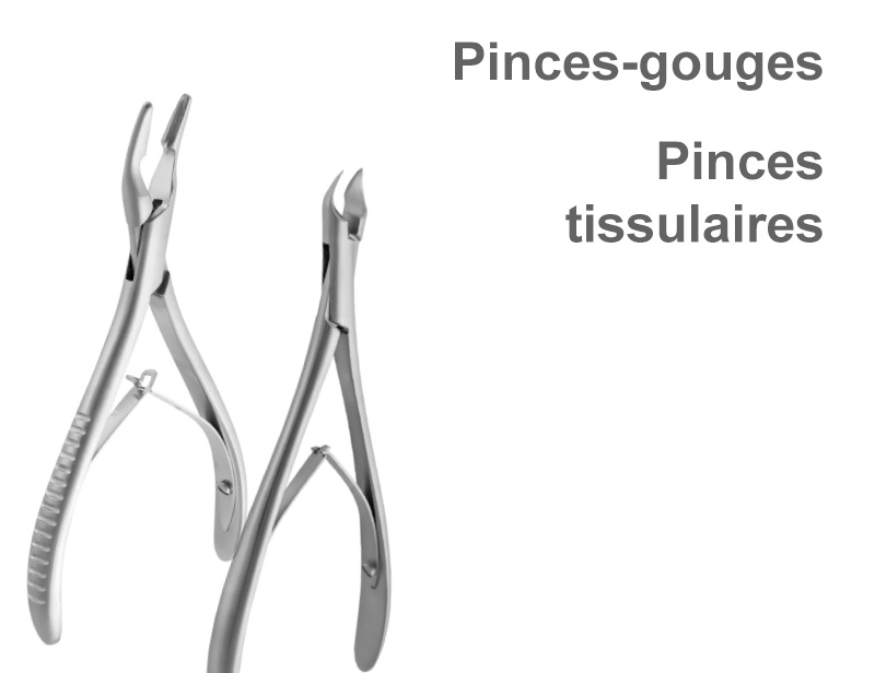 Pinces Gouges & Pinces Tissulaires
